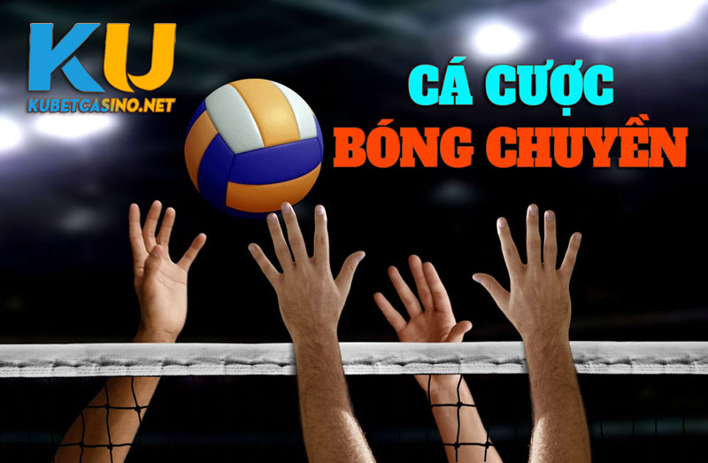 Cá Cược Bóng Chuyền